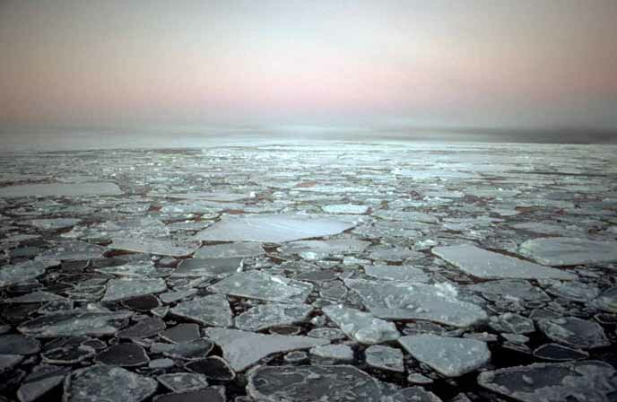 interglacial period
