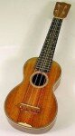10 Interesting Facts about Ukuleles