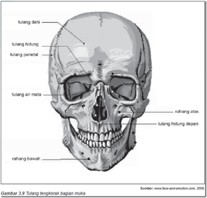 Picture11