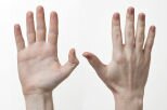 10 Interesting Facts about The Hand 10 Interesting Facts about The Hand