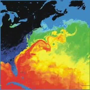 Facts 6 (The Gulf Stream )