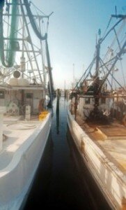 Facts 8 (Fishing Industries)