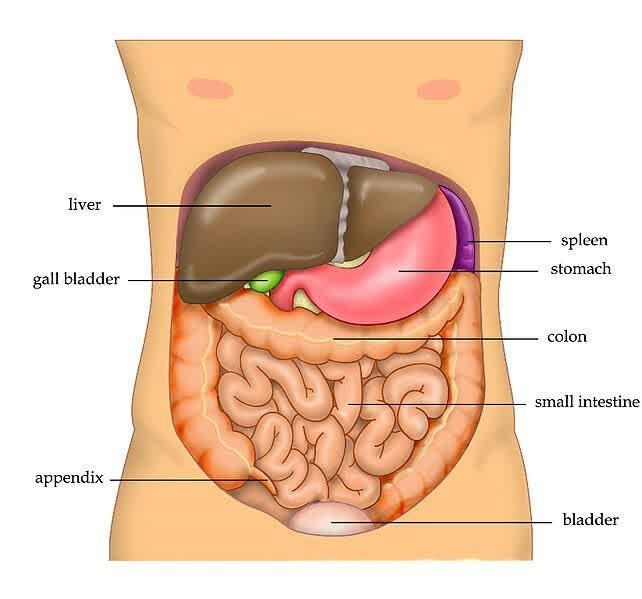 Facts 2 (Position)