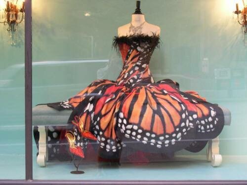 Monarch Butterfly Clothes